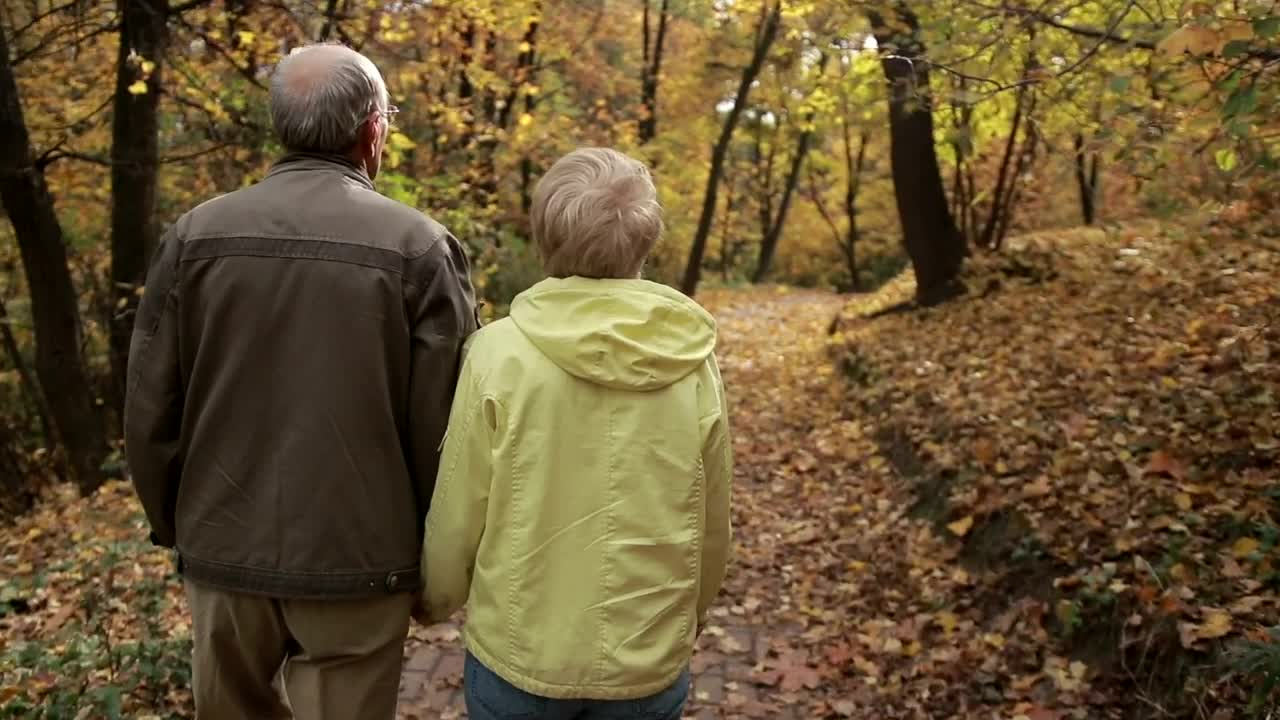 Stock Video Elderly Couple Embracing Live Wallpaper For PC - Free Download