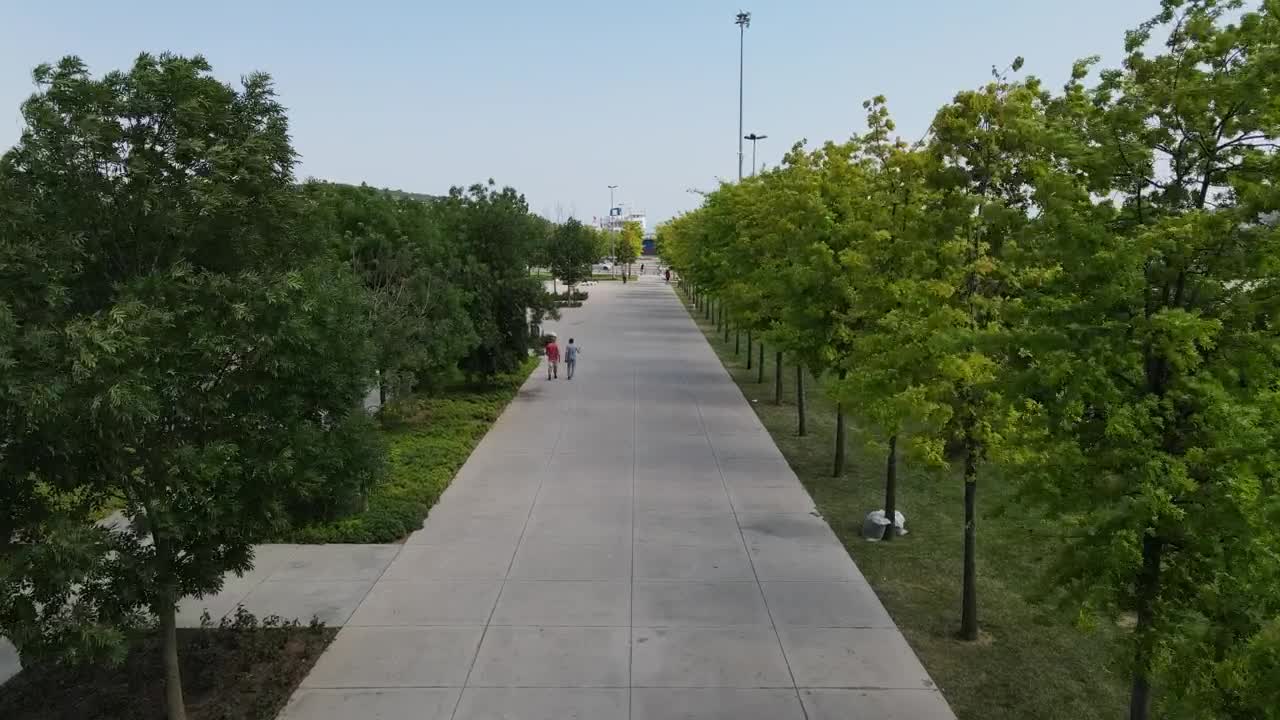 Stock Video Flying Through A Park Path With Grass And Trees Live Wallpaper For PC - Free Download