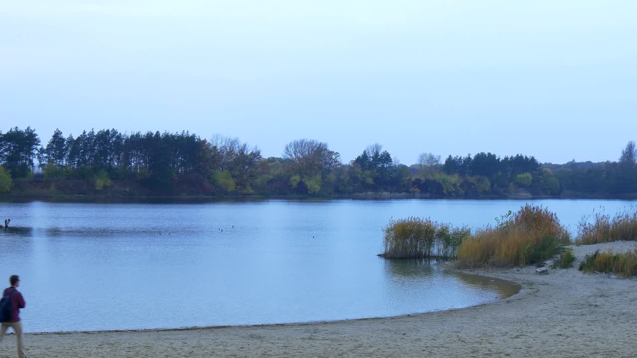 Stock Video Man Walking In The River Shor Animated Wallpaper - Free Download