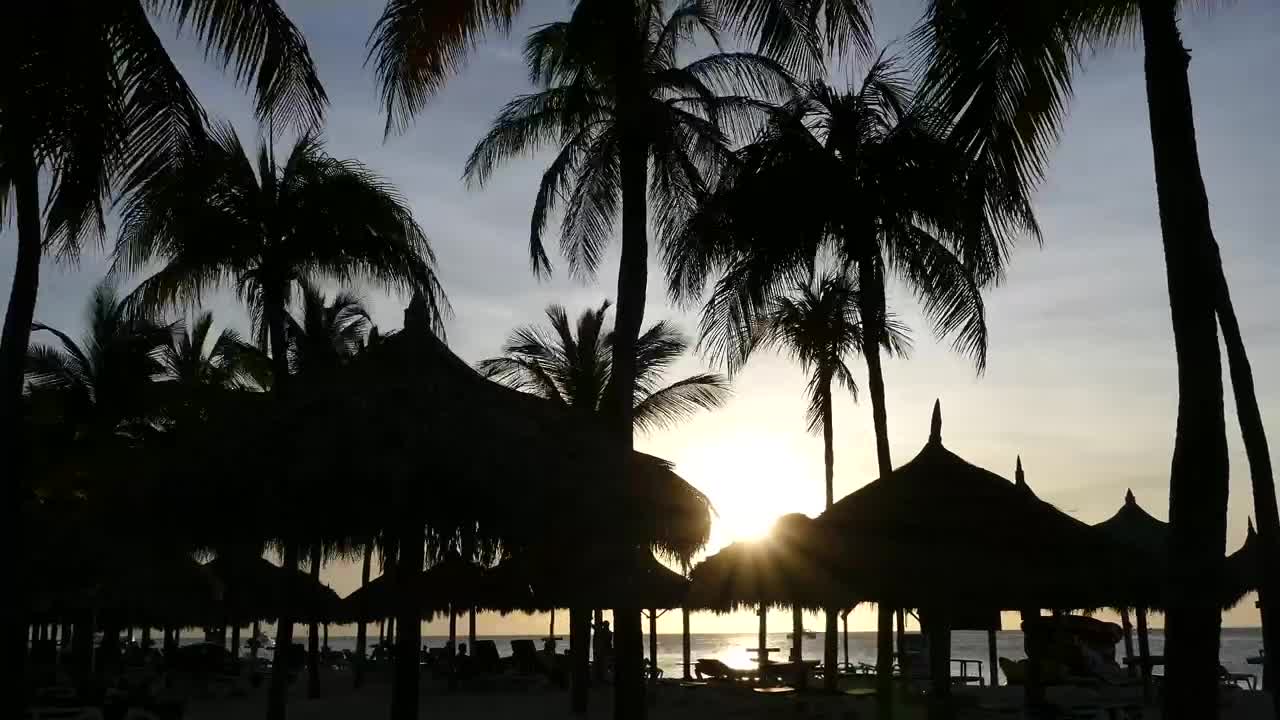 Free Video Stock time lapse of the sunset at palm beach Live Wallpaper - Free Download