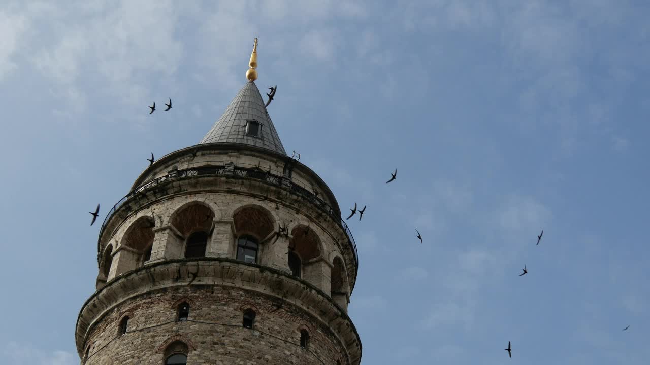Free Video Stock tower and birds time lapse Live Wallpaper - Free Download