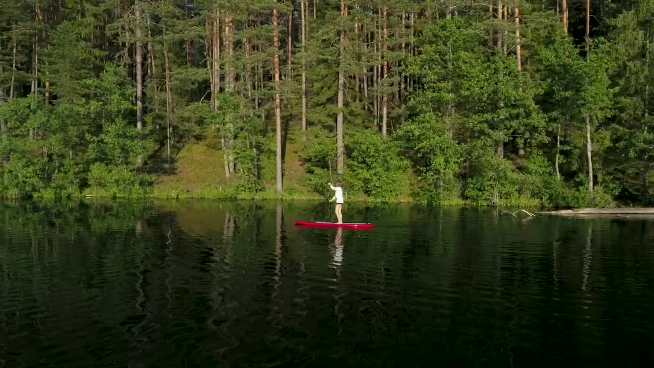 Free Stock Video Woman Sailing On A Red Paddleboard In The Forest Live Wallpaper - Free Download
