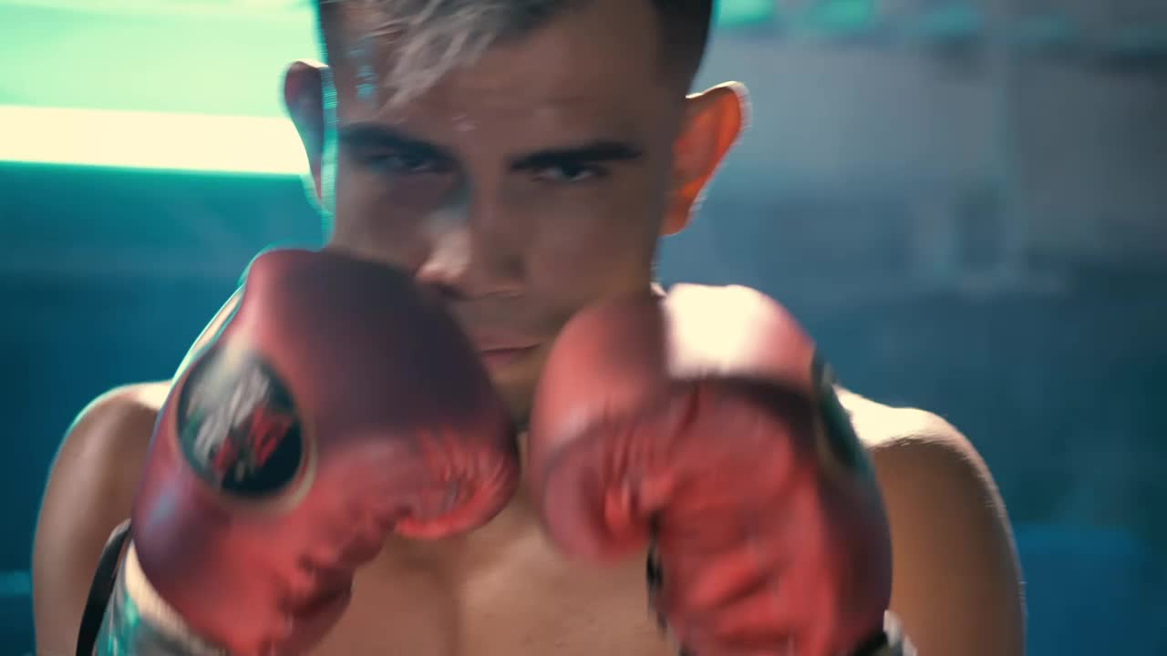Video Stock Portrait Of A Boxer Training Live Wallpaper Free - Free Download