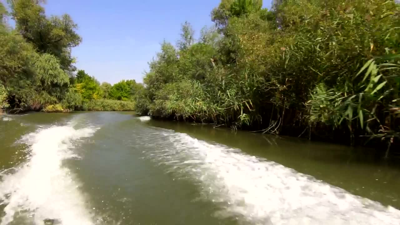 Stock Footage Water Trail Of Speed Boat Live Wallpaper - Free Download
