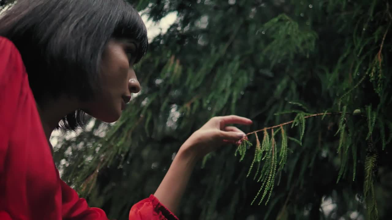 Stock Video Girl Gently Touching The Branches Of A Pine Tree In Live Wallpaper For PC - Free Download