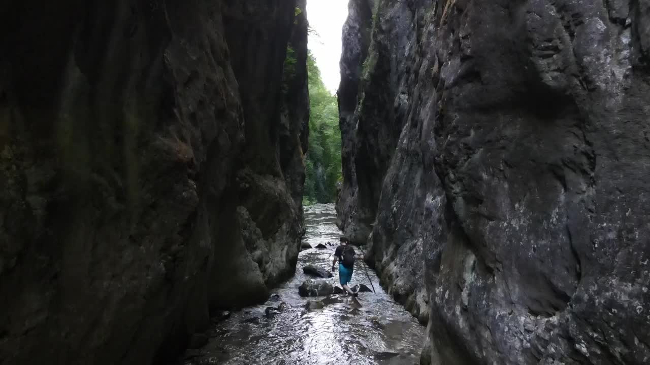 Stock Video Explorer Through A River In The Forest Live Wallpaper For PC - Free Download