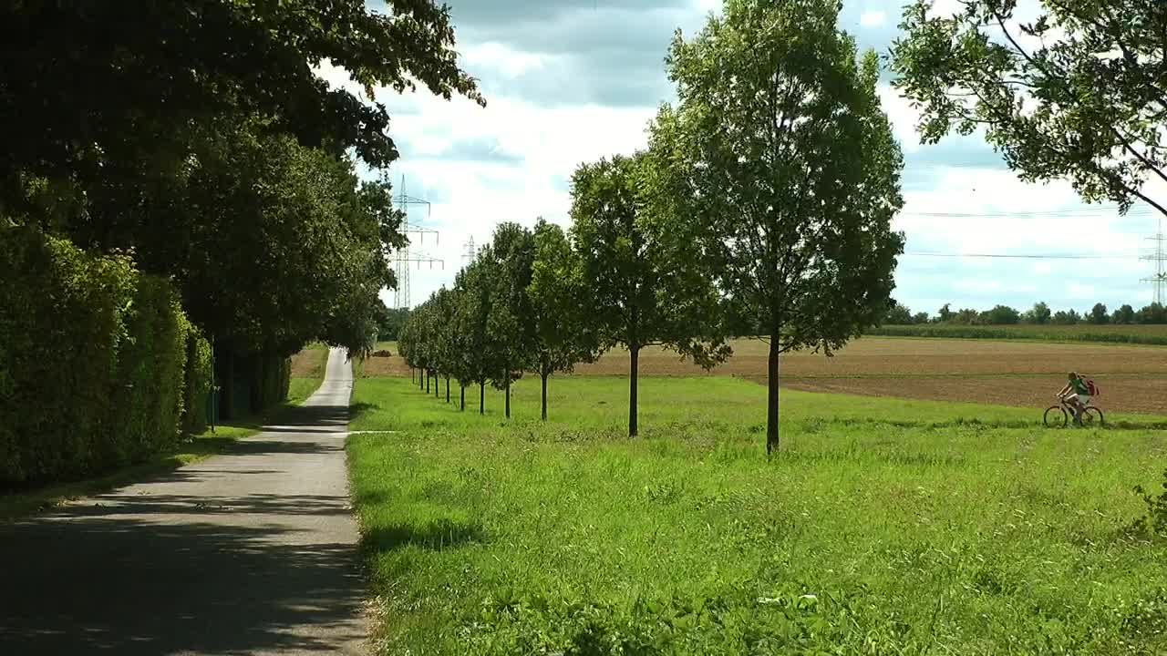 Free Stock Video Riding A Bicycle In The Countryside Live Wallpaper - Free Download