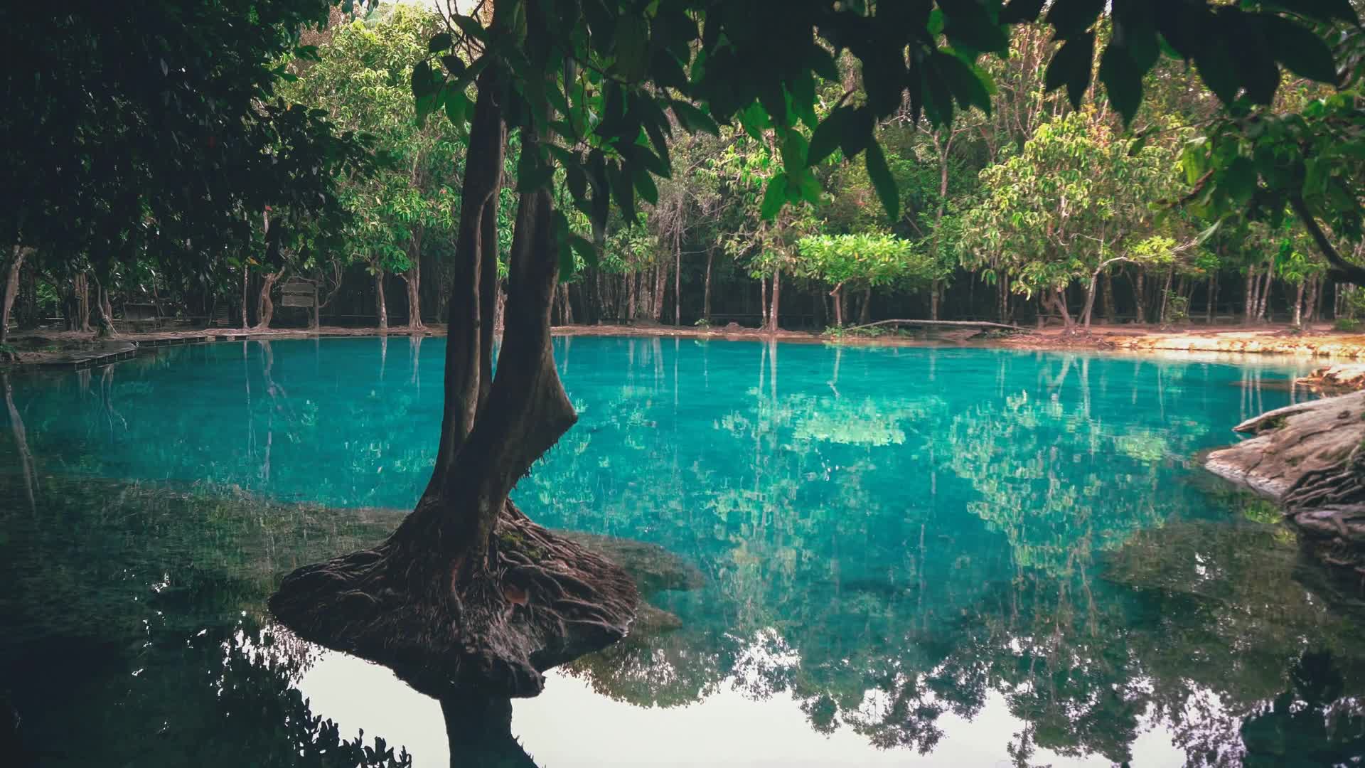 Emerald Pool Live Wallpaper HD - Free Download