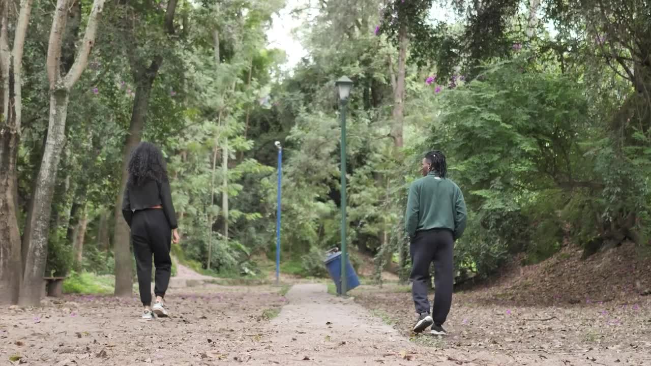 Stock Video Couple Of Man And Woman Walking Apart Through A Forest Live Wallpaper For PC - Free Download