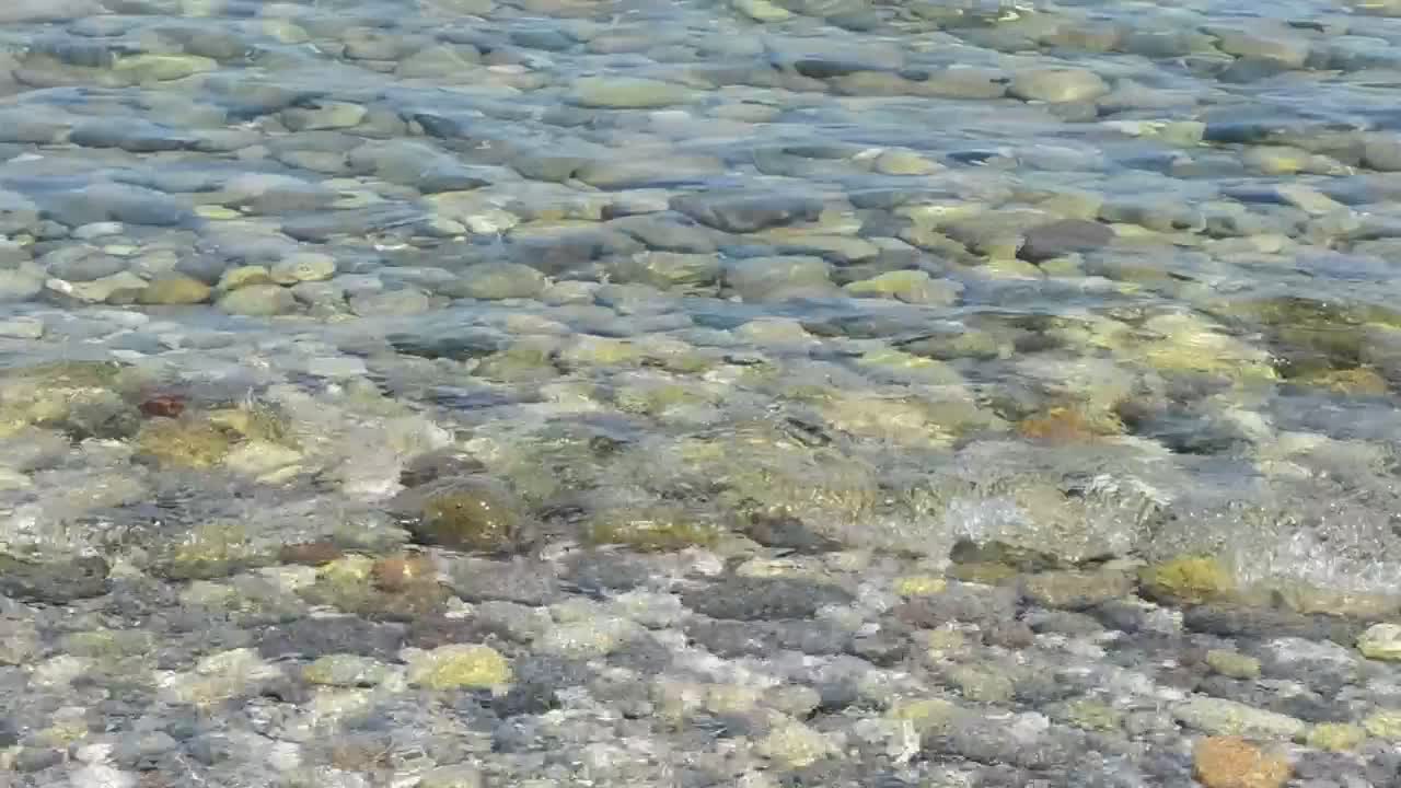Free Video Stock Small Pebbles Below The Sea Live Wallpaper - Free Download