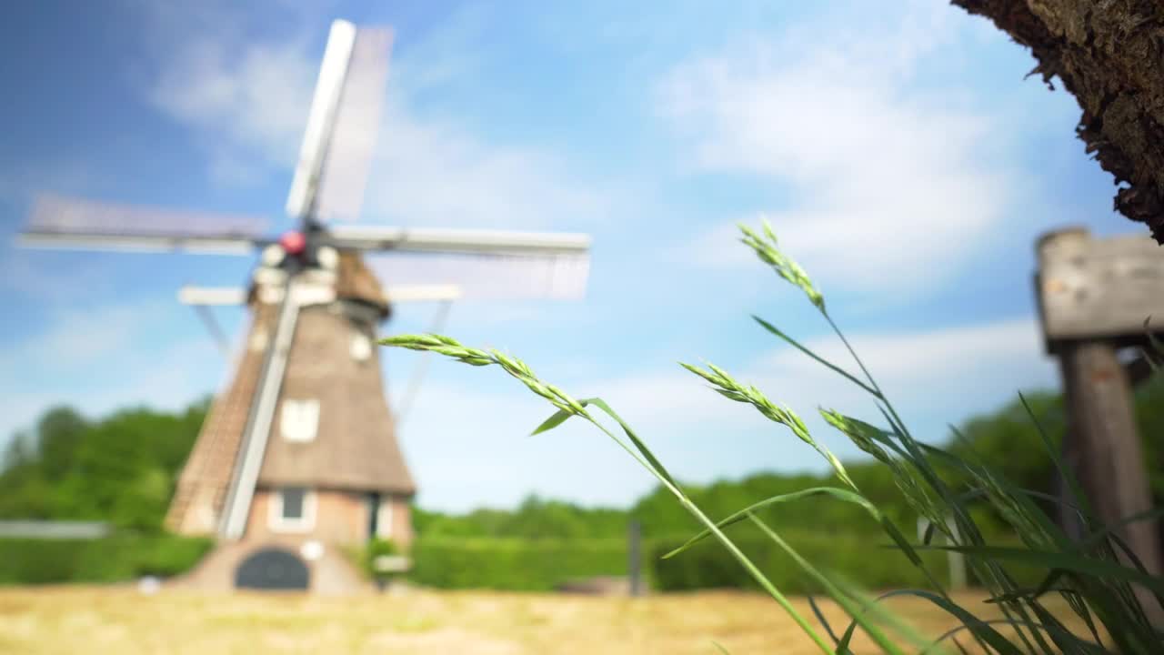 Stock Footage Windmill In The Distance Between Bushes And Trees Live Wallpaper - Free Download