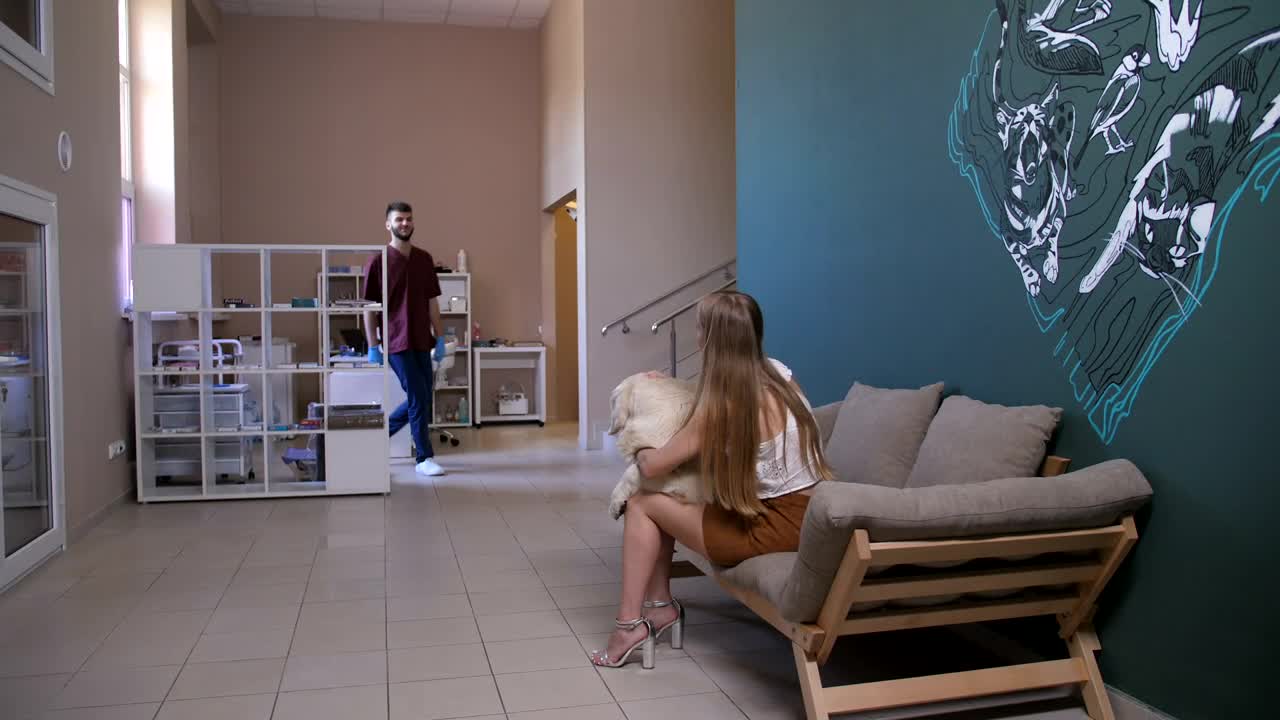 Stock Video Dog Visiting A Vet Live Wallpaper For PC - Free Download