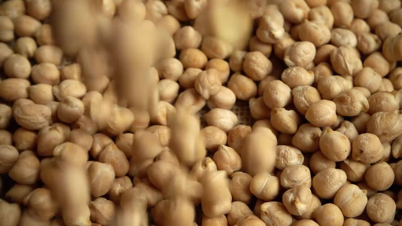 Video Stock Chickpeas Falling Onto A Table Live Wallpaper For PC - Free Download