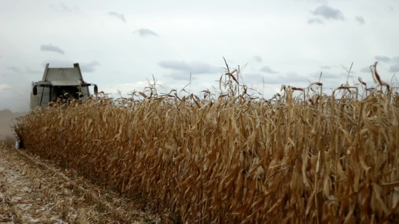 Stock Video Harvester Moving Through A Field Animated Wallpaper - Free Download