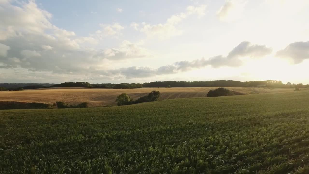 Stock Video Hovering Low Over Fields Animated Wallpaper - Free Download