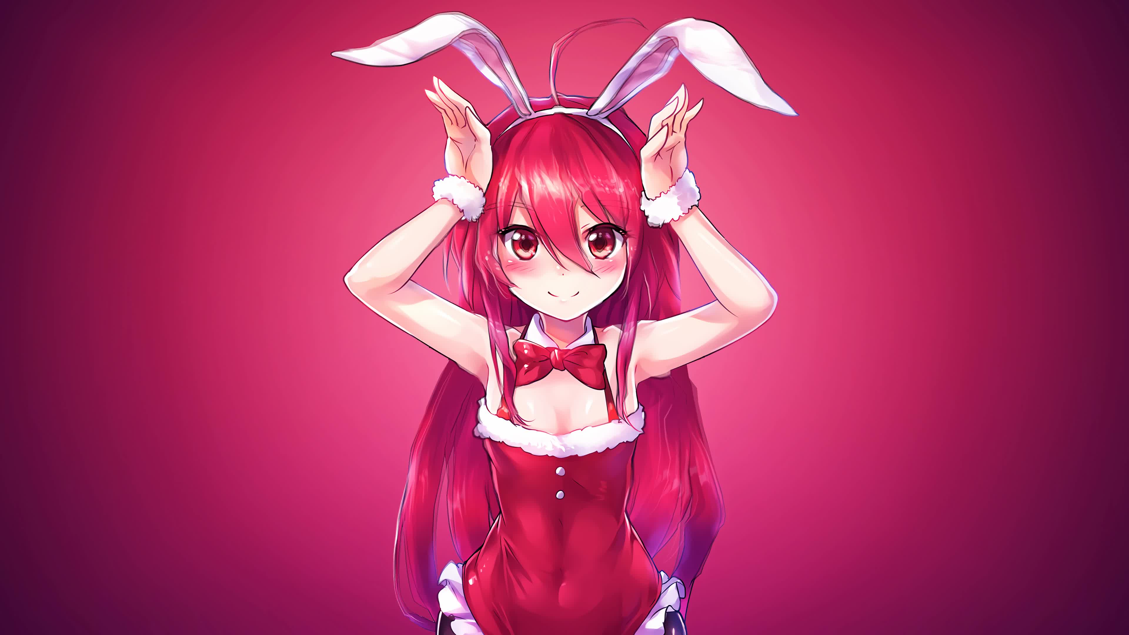 Shakugan  No  Shana  Bunny  4K  Live  Desktop  Wallpaper - Free Download