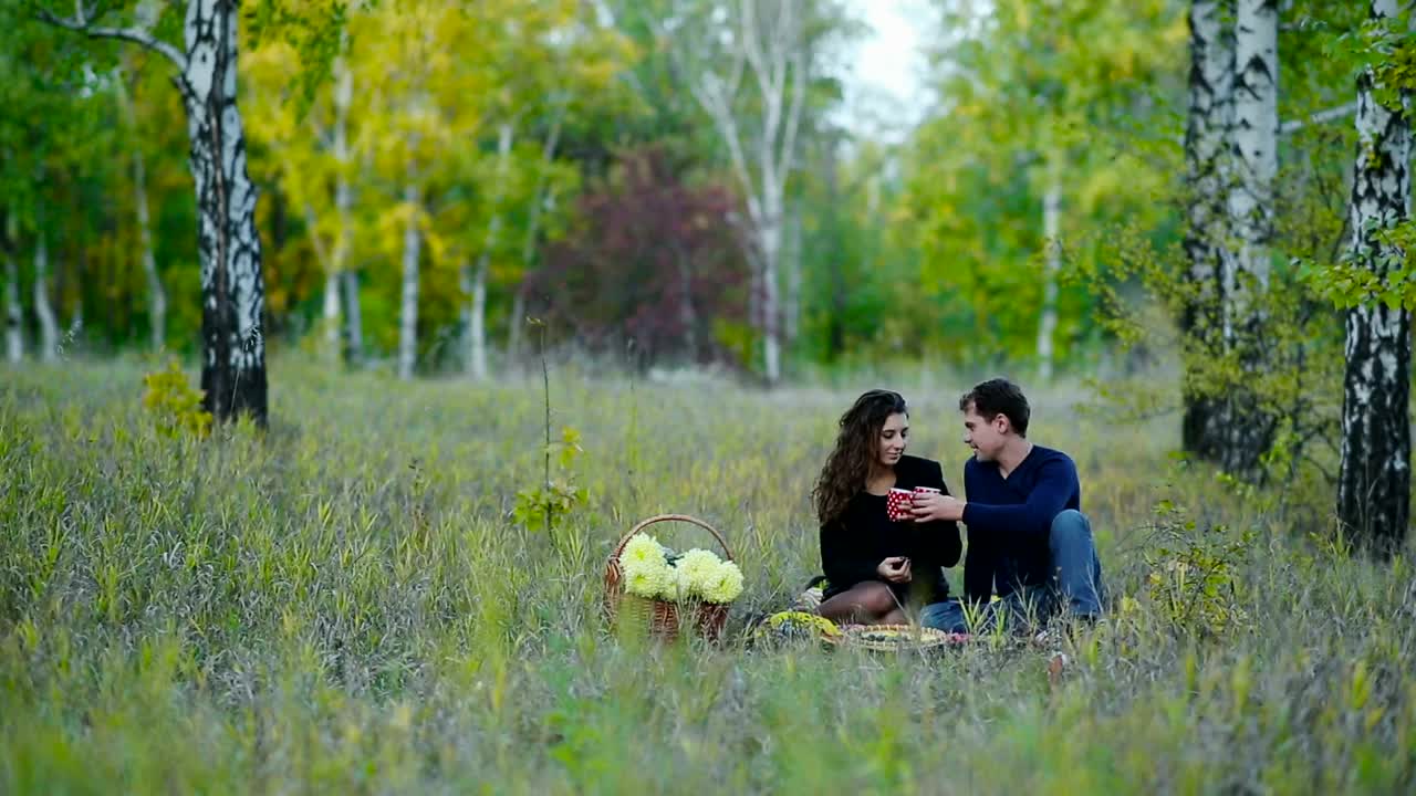 Stock Video Couple On A Picnic In The Middle Of Nature Live Wallpaper For PC - Free Download