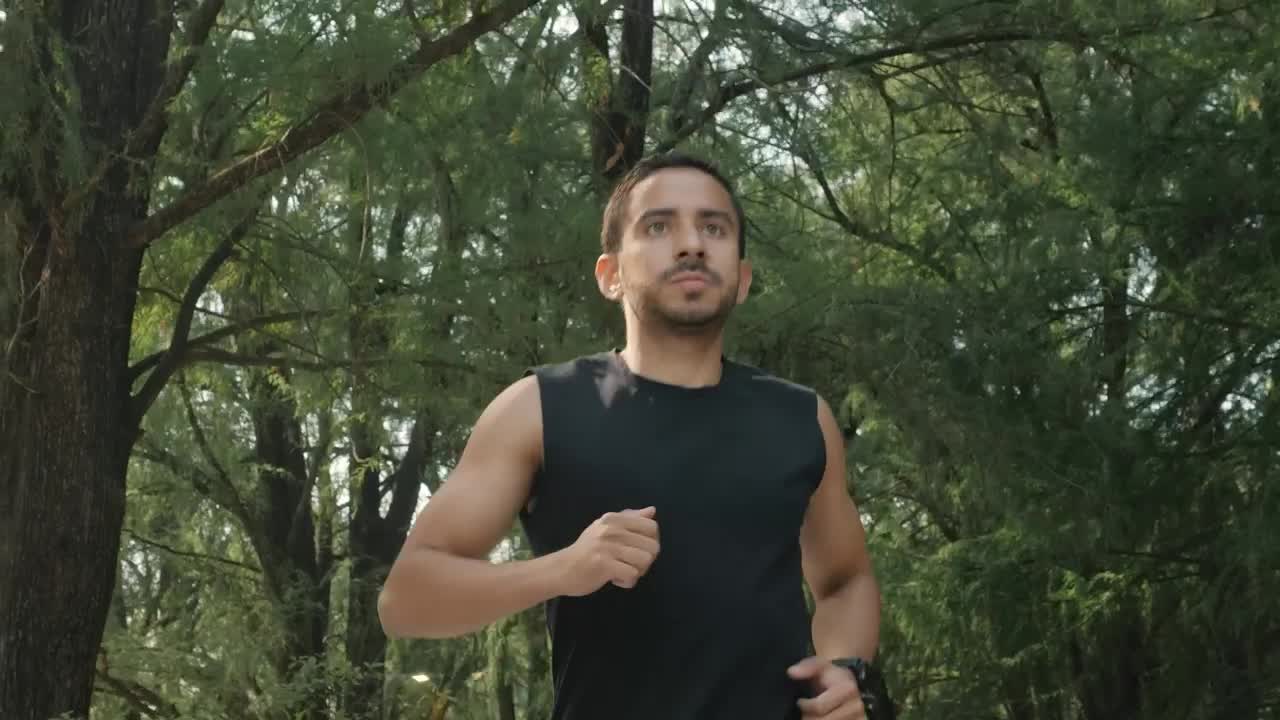 Free Stock Video Young Man Jogging In A Park With Many Trees Live Wallpaper - Free Download