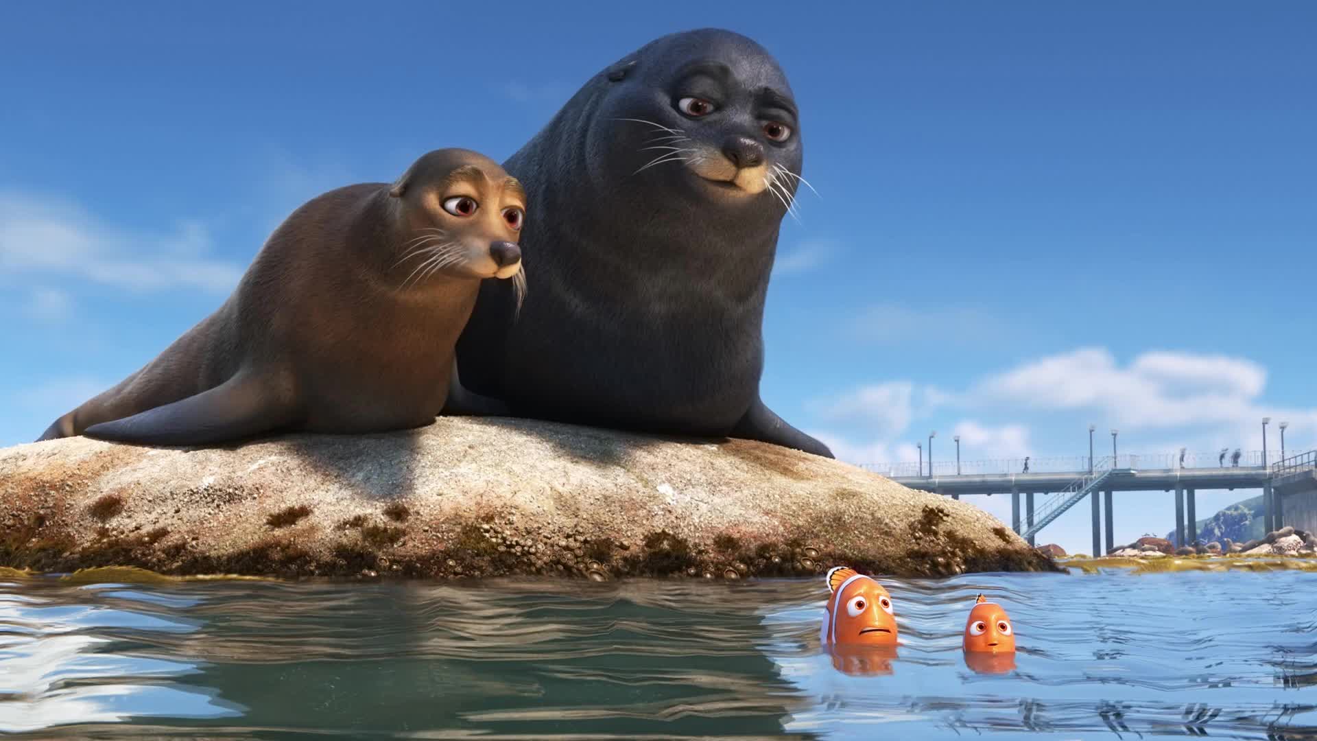 Sea  Lions  Marlin  Nemo  Finding  Dory  Live  Wallpaper - Free Download