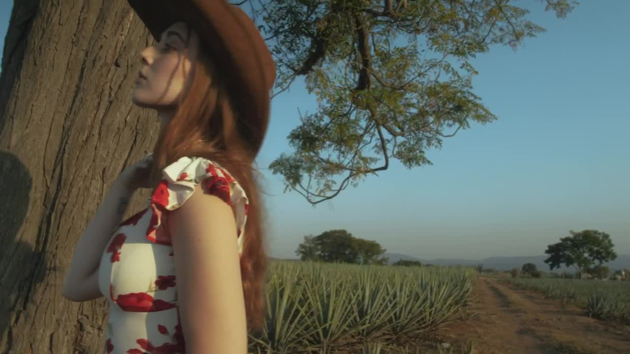 Stock Video Girl With Mexican Style Posing In A Maguey Field Live Wallpaper For PC - Free Download