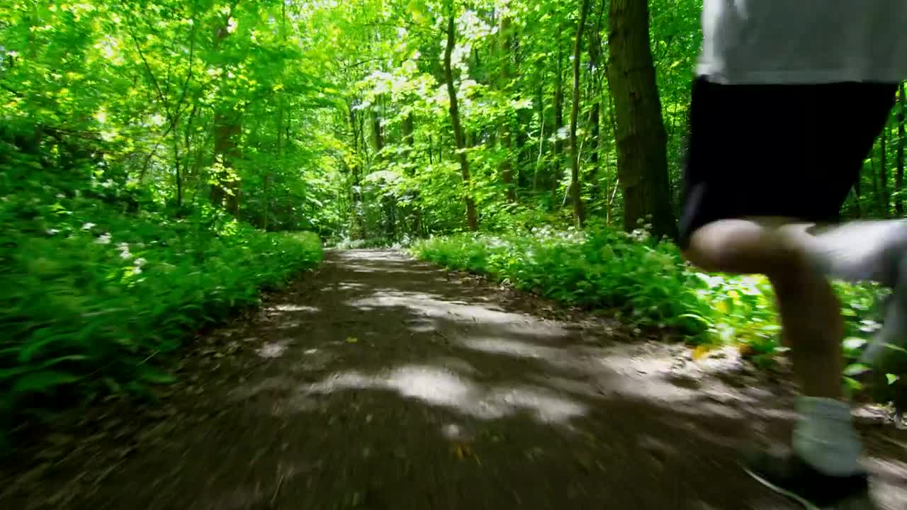 Stock Video Man Jogging Through Woodland Tracking Sho Animated Wallpaper - Free Download