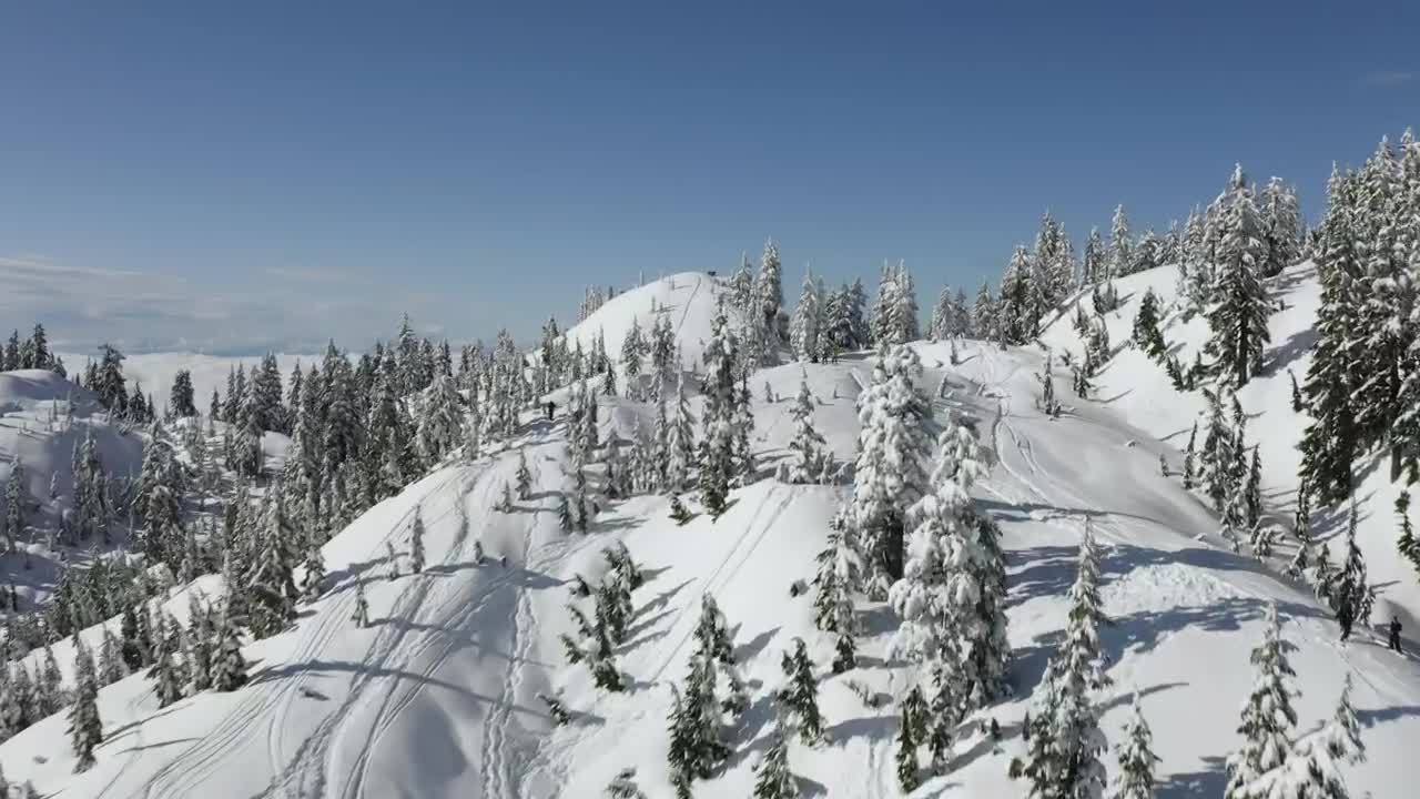 Free Video Stock top of a snow covered mountain range and pine forests Live Wallpaper - Free Download