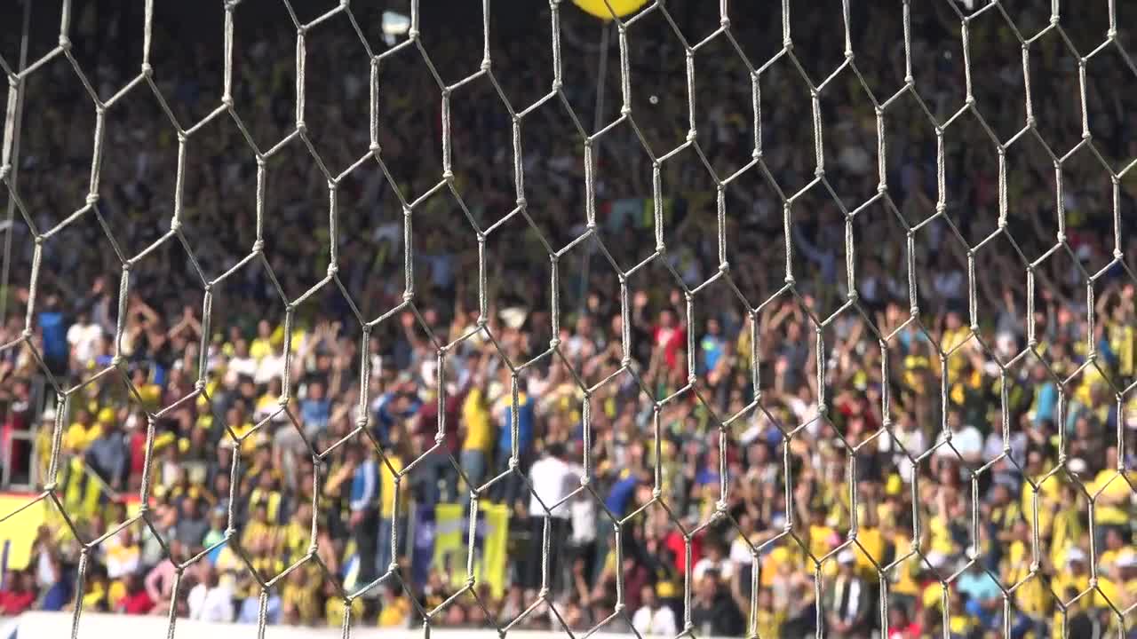 Stock Video Crowd Cheering At The Stadium Live Wallpaper For PC - Free Download
