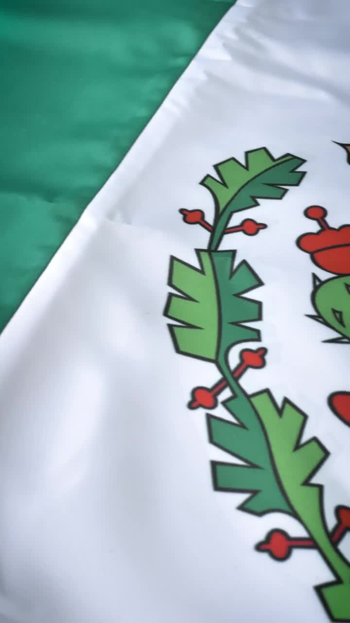 Stock Video Flag Of Mexico In A Close Up View Live Wallpaper For PC - Free Download