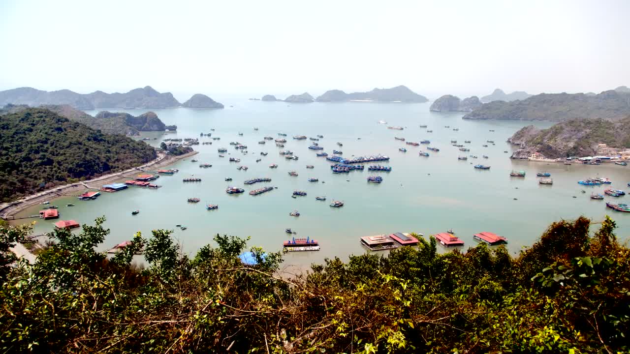 Stock Footage Vietnam Bay Filled With Boats Live Wallpaper - Free Download