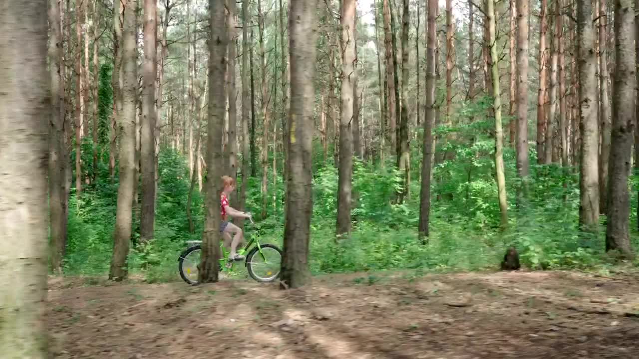 Stock Video Girl Riding A Bicycle Through A Forest Live Wallpaper For PC - Free Download