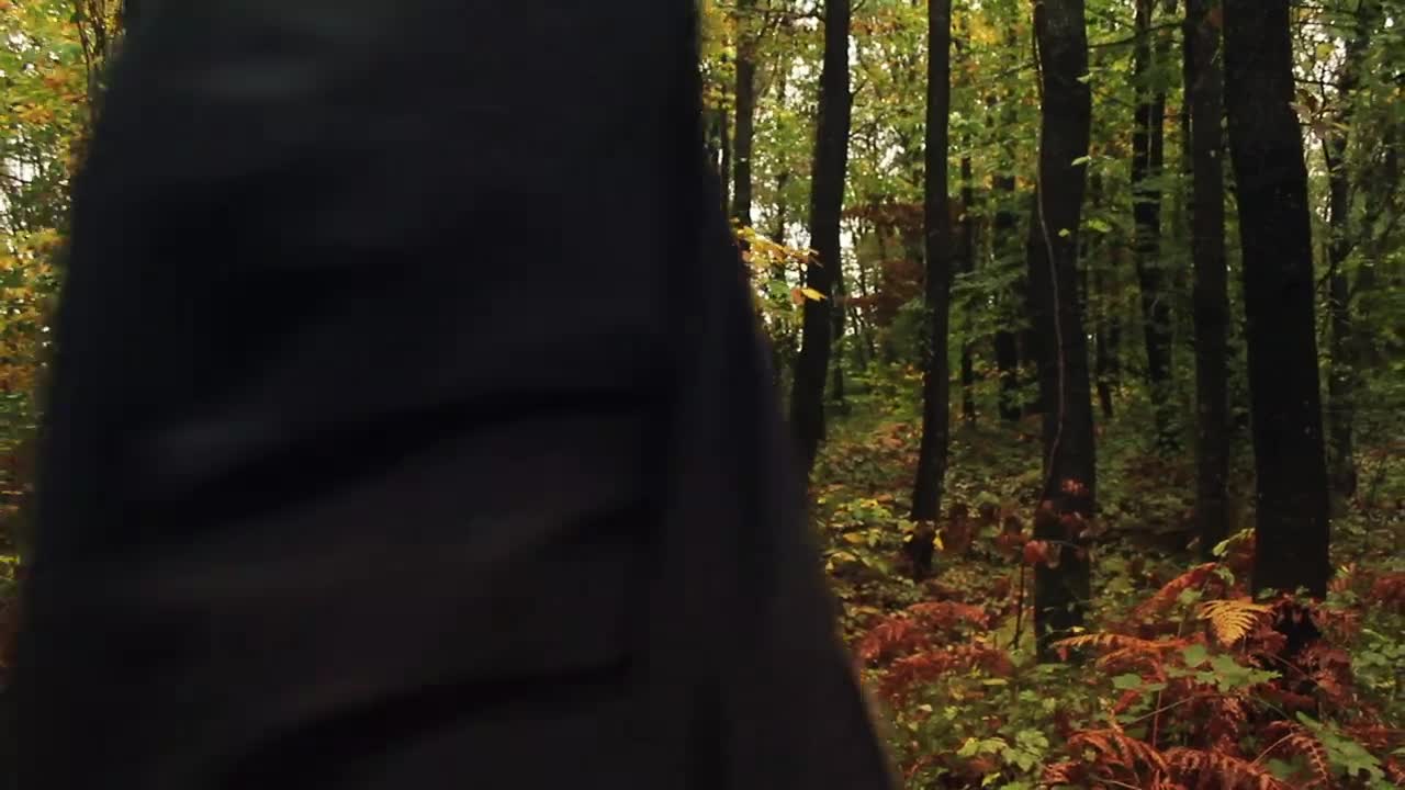 Stock Video Person Crossing A Forest Full Of Vegetation Live Wallpaper - Free Download