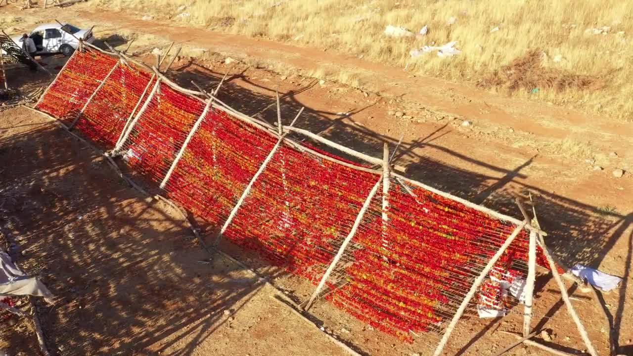 Stock Video Peppers Being Dried After Harvest Live Wallpaper - Free Download