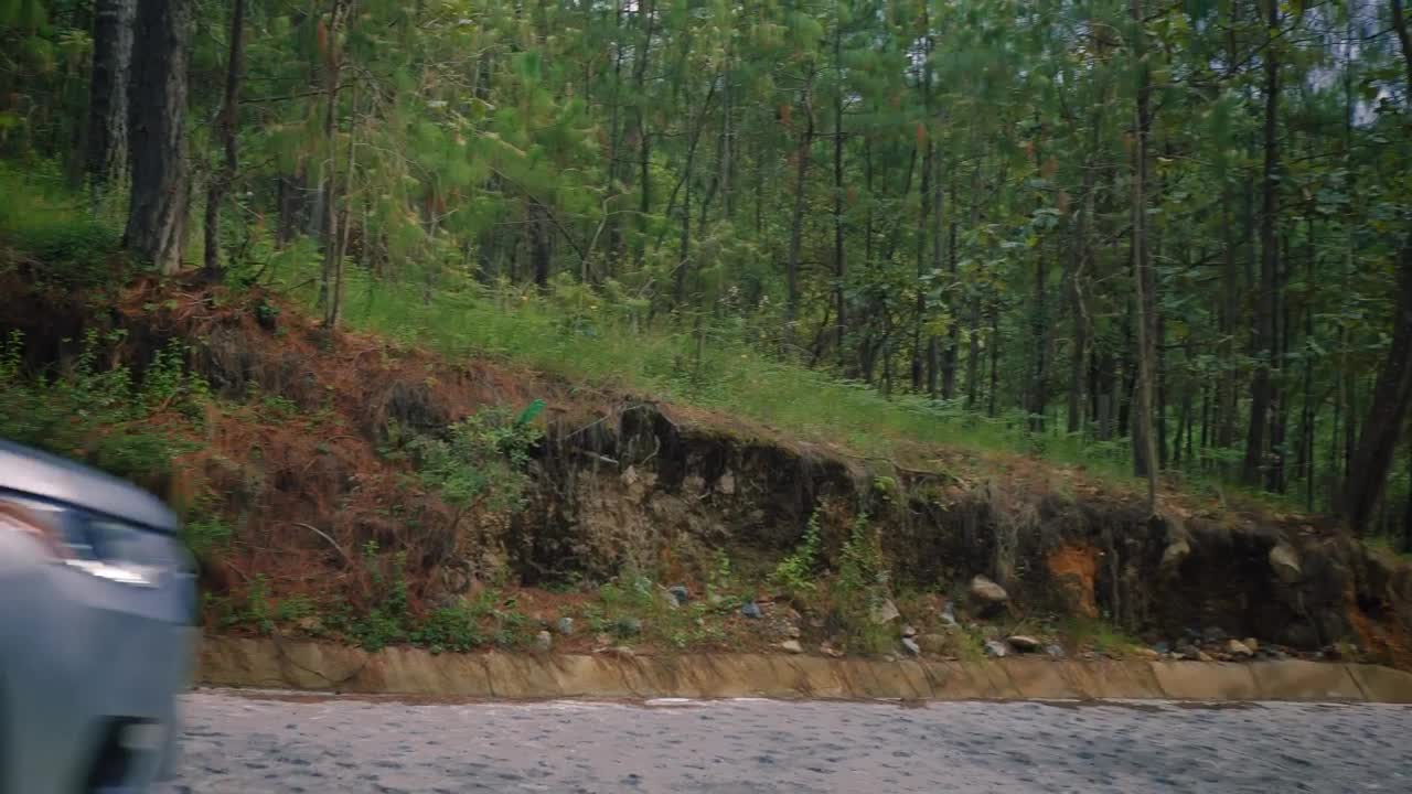 Video Stock Pickup Truck Driving Along An Asphalt Road Through A Forest Live Wallpaper Free - Free Download