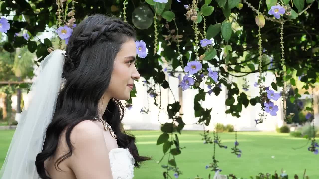 Stock Video Just Married Couple Animated Wallpaper - Free Download