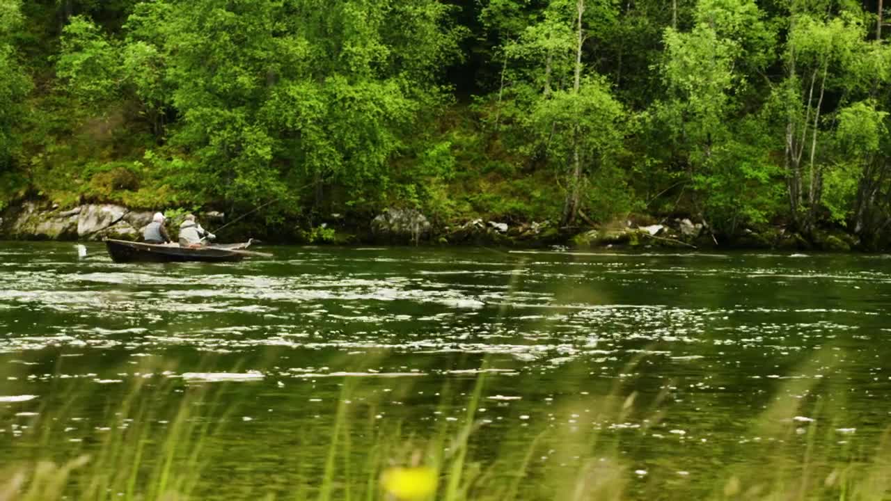 Free Video Stock Slow Flowing River Live Wallpaper - Free Download