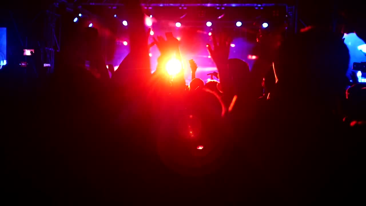 Stock Video Crowd Dancing In A Music Festival By Night Live Wallpaper For PC - Free Download