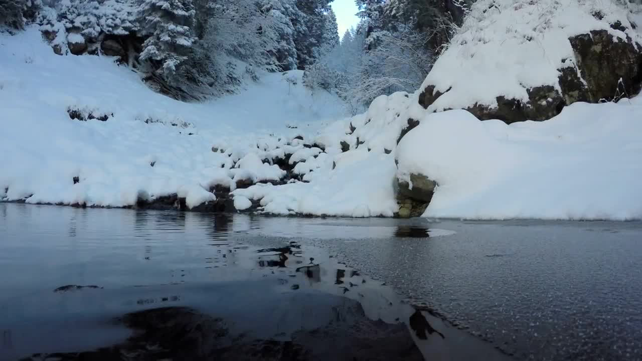 Stock Video Diving In A Winter Forest Lake Live Wallpaper For PC - Free Download