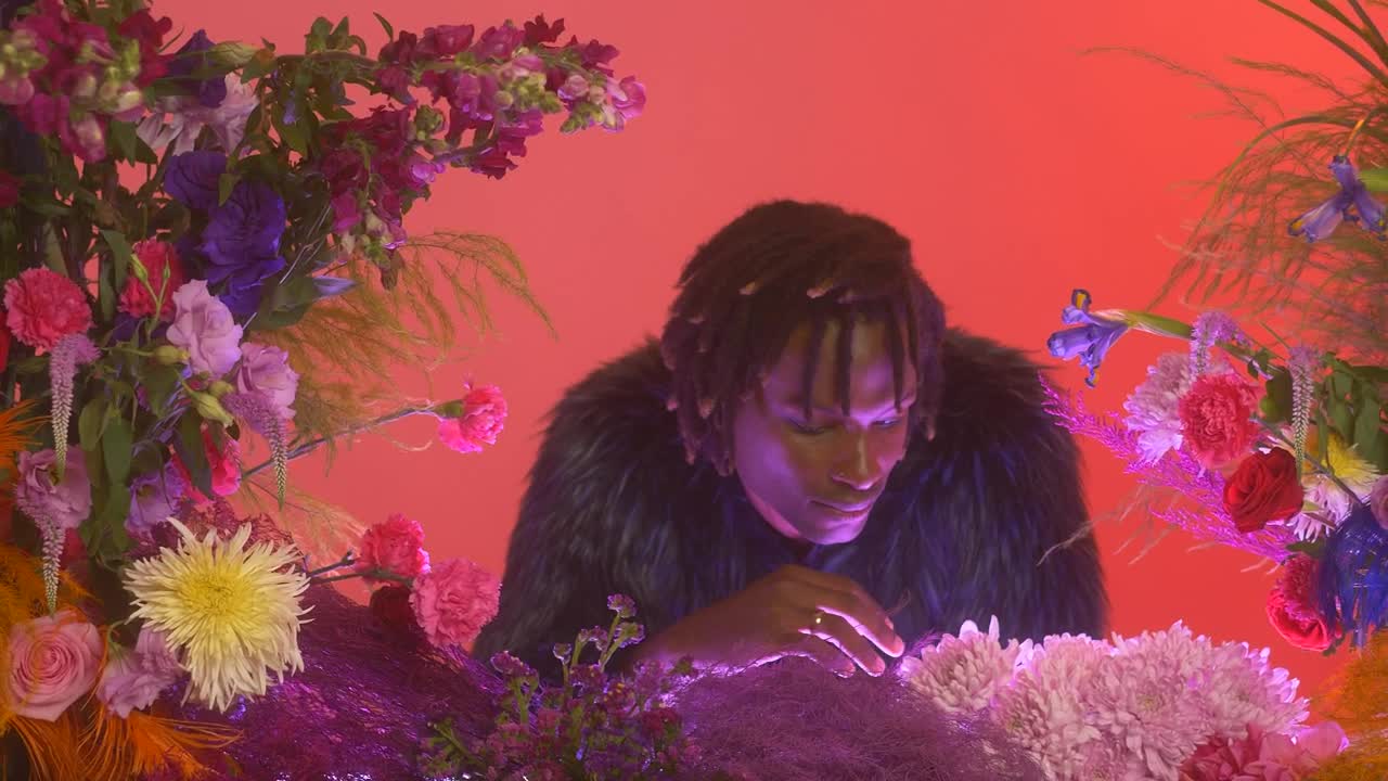 Stock Video Gay Boy In A Feminine Environment Surrounded By Flowers Live Wallpaper For PC - Free Download