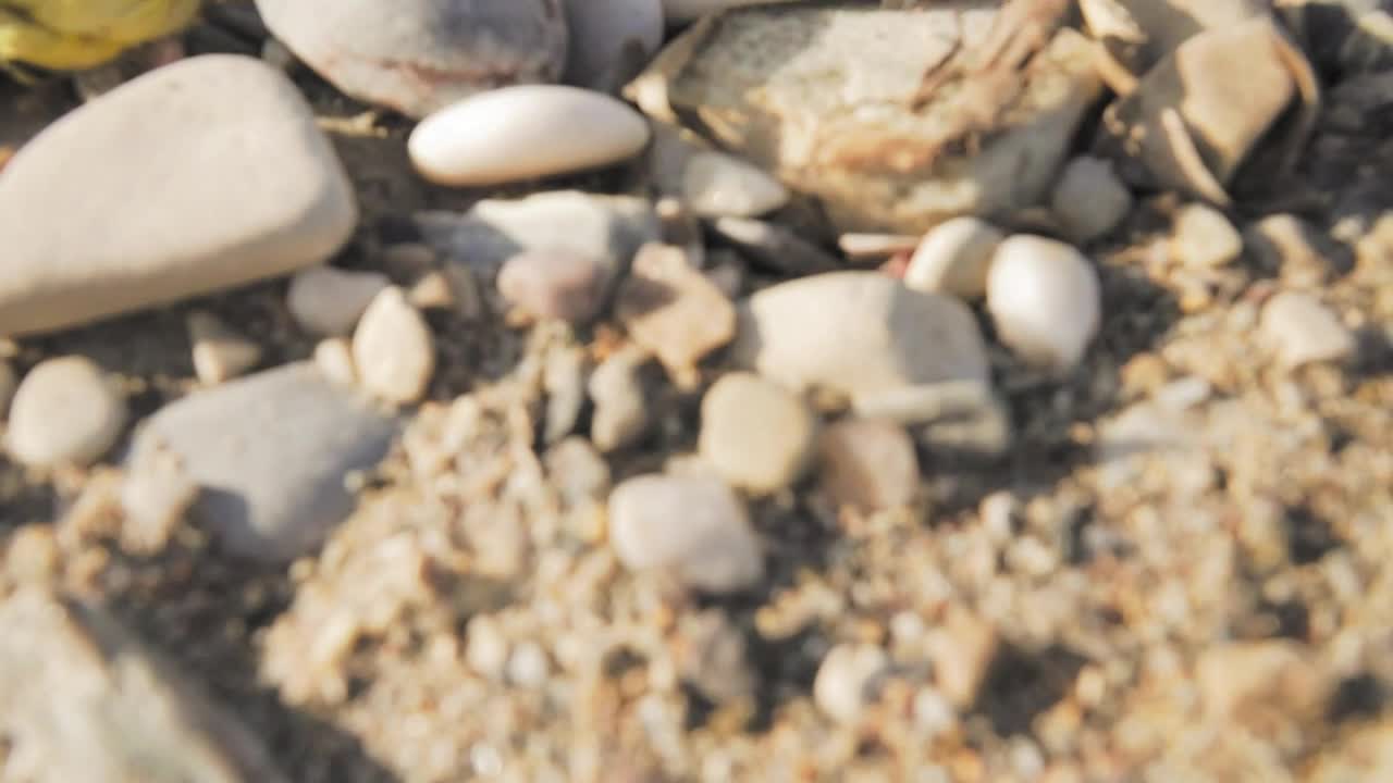 Stock Video Garbage On The Beach Live Wallpaper For PC - Free Download
