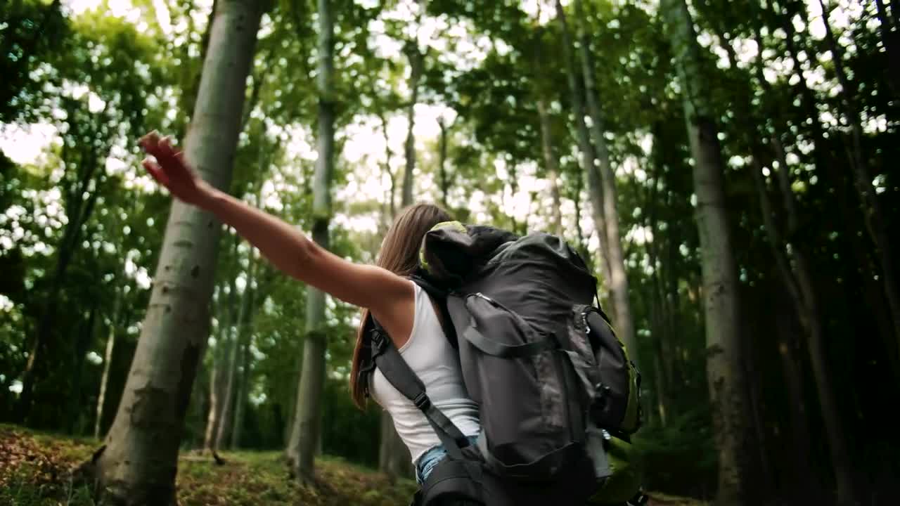 Free Video Stock tourist feeling the freedom in the forest Live Wallpaper - Free Download