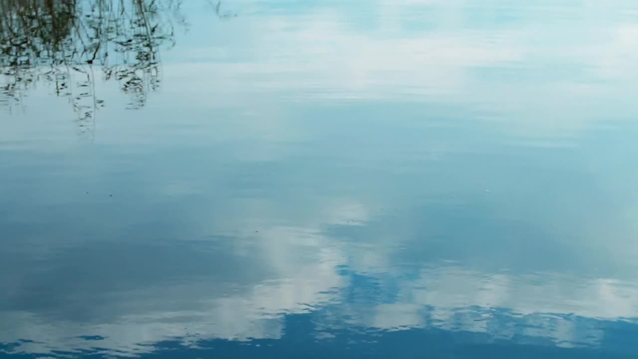 Free Video Stock throwing a stone into a lake Live Wallpaper - Free Download