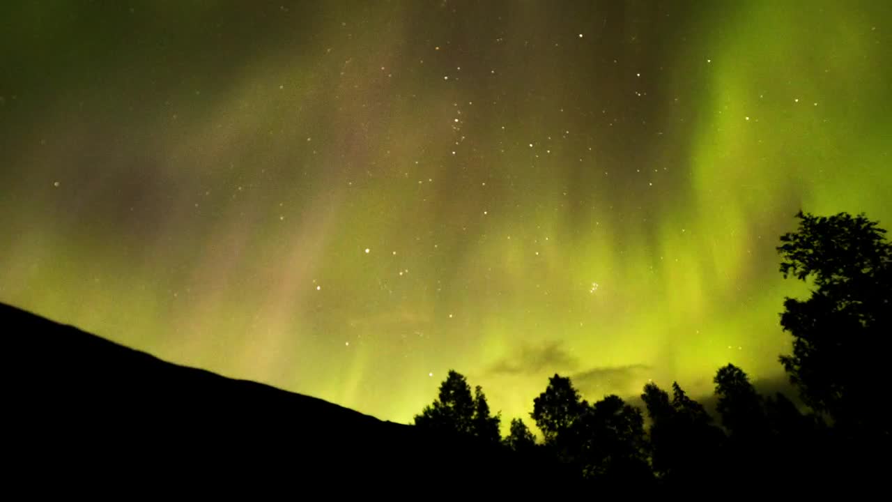 Stock Video Beautiful Northern Lights Of Yellow And Pink Tones Live Wallpaper For PC - Free Download