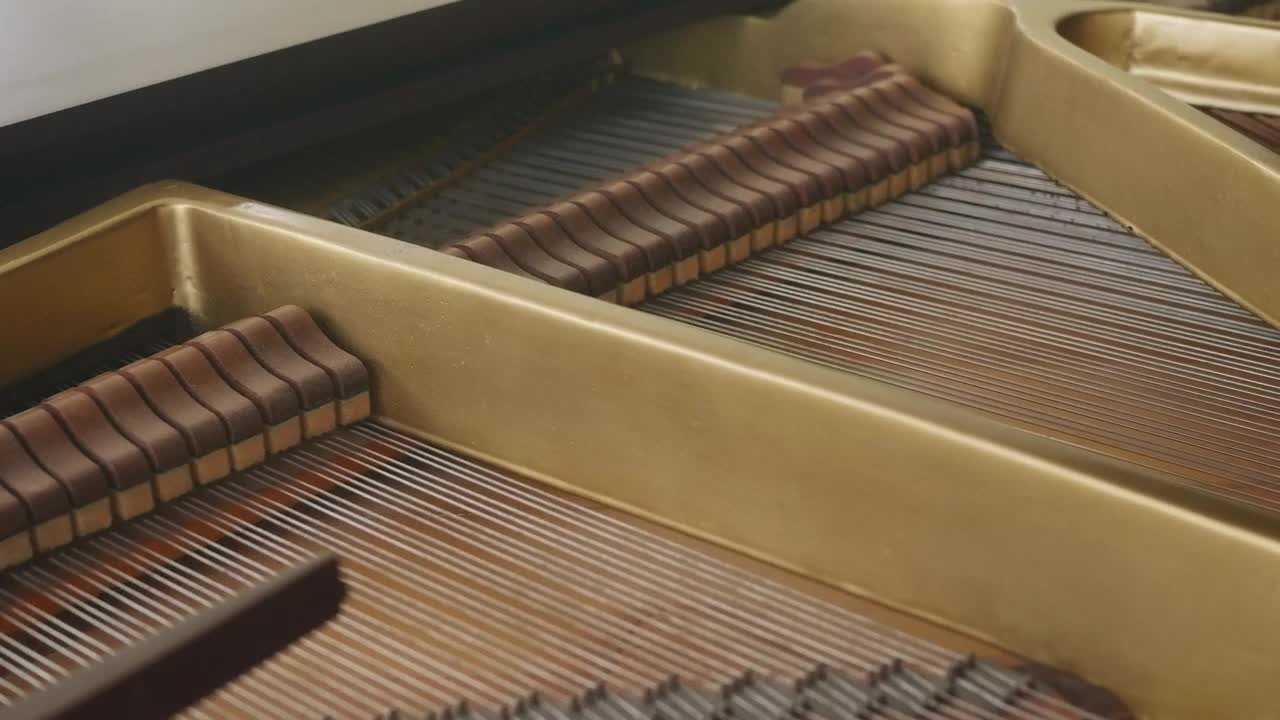 Stock Video Dampers Moving Inside A Grand Piano Live Wallpaper For PC - Free Download