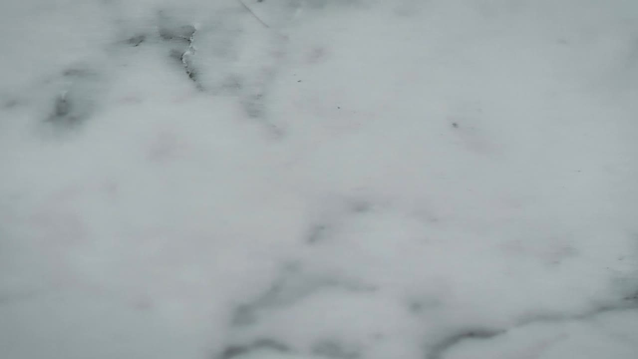 Stock Video Detailed Texture Of A Smooth Marble Surface Live Wallpaper For PC - Free Download