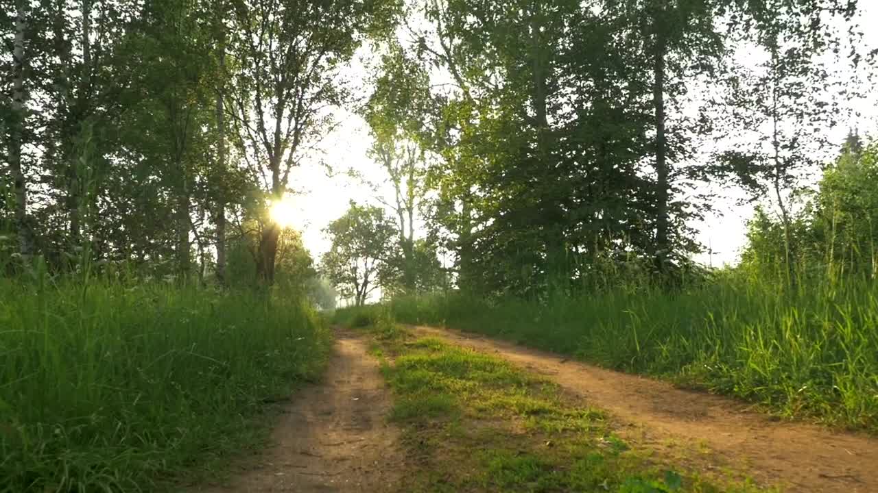 Free Video Stock tracks down a country lane Live Wallpaper - Free Download