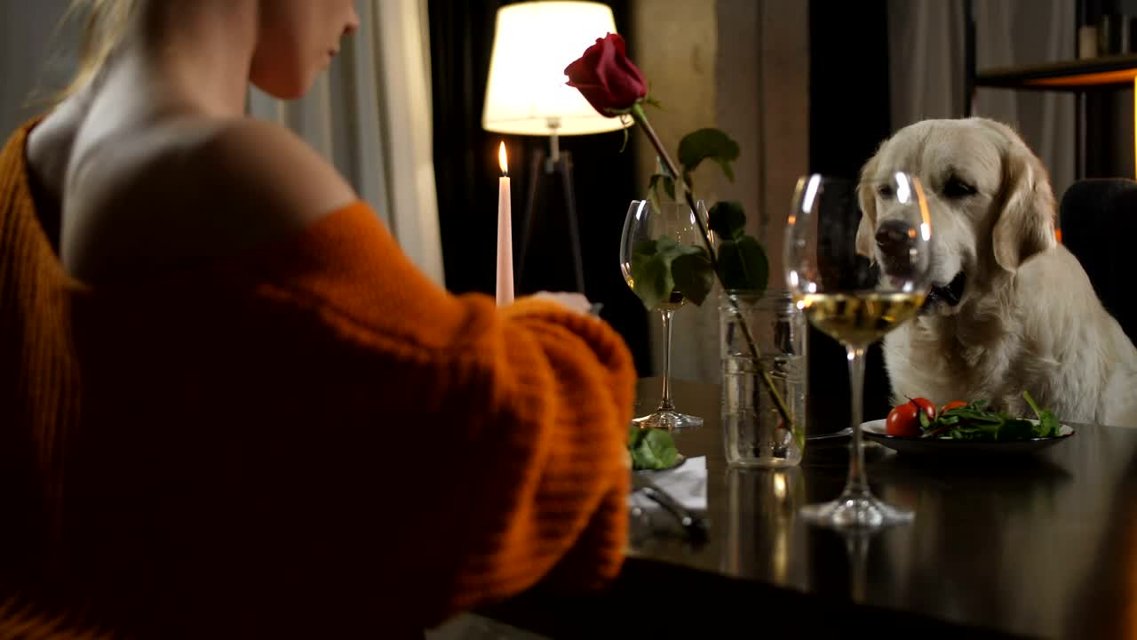 Free Stock Video Woman Sharing Her Meal With Her Dog Live Wallpaper - Free Download