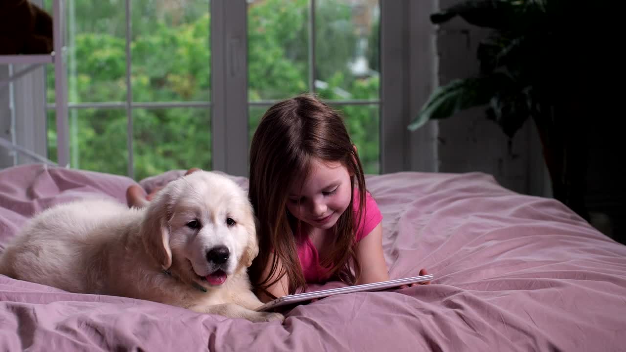 Stock Video Girl And Her Puppy Watching Videos Live Wallpaper For PC - Free Download