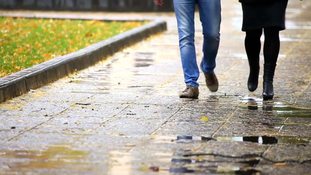 Stock Video Couple Walking On A Rainy Day Low View Live Wallpaper For PC - Free Download