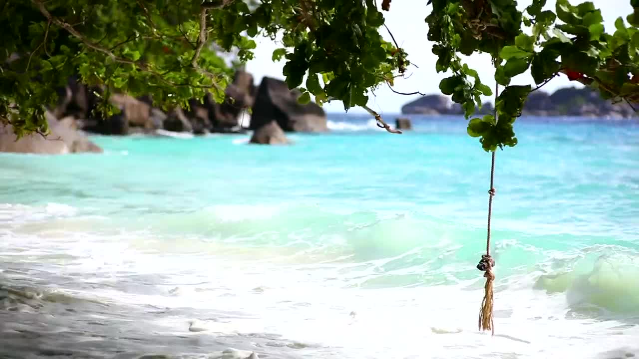 Stock Video Ocean Waves On Tropical Beachwith Rocks Live Wallpaper - Free Download