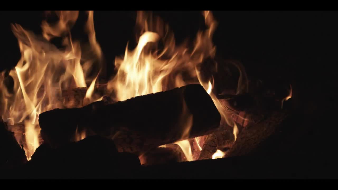 Stock Video Logs Burning In The Campfire Animated Wallpaper - Free Download